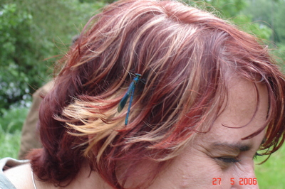 Bild_039.jpg