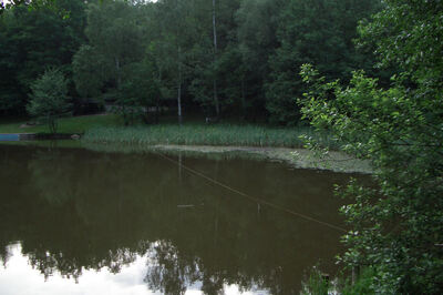 CIMG0081.JPG