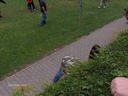 Dateiname=HPIM0163.jpg
Dateigröße=1642KB
Abmessungen: 2048x1536
hinzugefügt am: 03. April 2026 HPIM0163.jpg