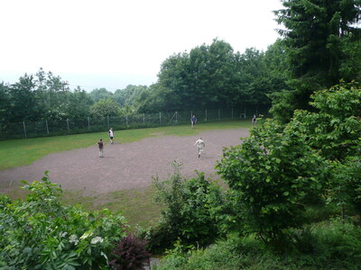 P1010545_Groessenveraenderung.JPG