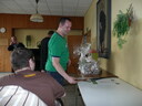 P1010553_Groessenveraenderung.JPG