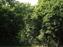 BR_2009_56.jpg