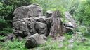 SDC10129.JPG
