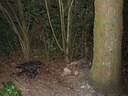 Dateiname=P6190122.JPG
Dateigröße=1554KB
Abmessungen: 2048x1536
hinzugefügt am: 03. April 2026 P6190122.JPG