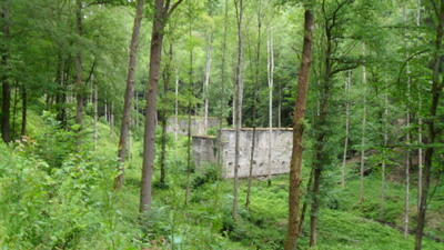 SDC11572.JPG