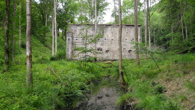 SDC11573.JPG