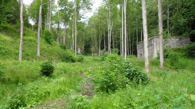 SDC11574.JPG
