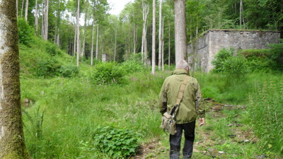 SDC11575.JPG