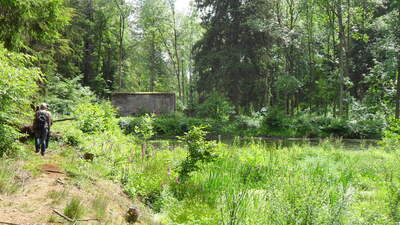 SDC11582.JPG