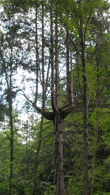 SDC11586.JPG