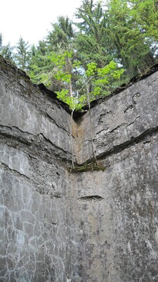 SDC11590.JPG