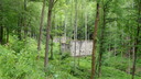 SDC11572.JPG