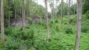 SDC11579.JPG