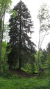 SDC11580.JPG