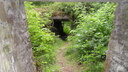 SDC11584.JPG