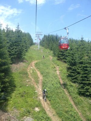 IMG_0549.JPG