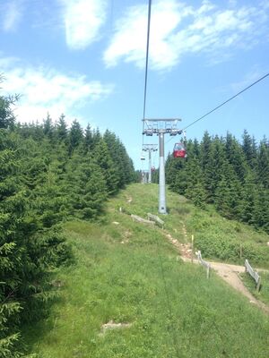 IMG_0550.JPG