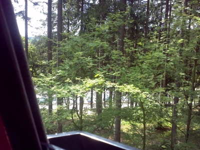 IMG_20120630_133851.jpg