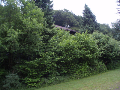 P6280023.JPG