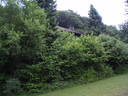 P6280023.JPG