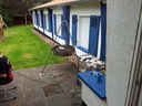 20140628_140817.jpg