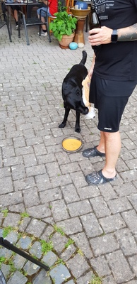 20190614_192602.jpg