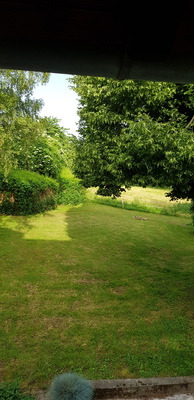 20190615_081226.jpg