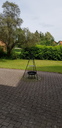 20190614_150053.jpg
