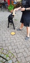 20190614_192611.jpg